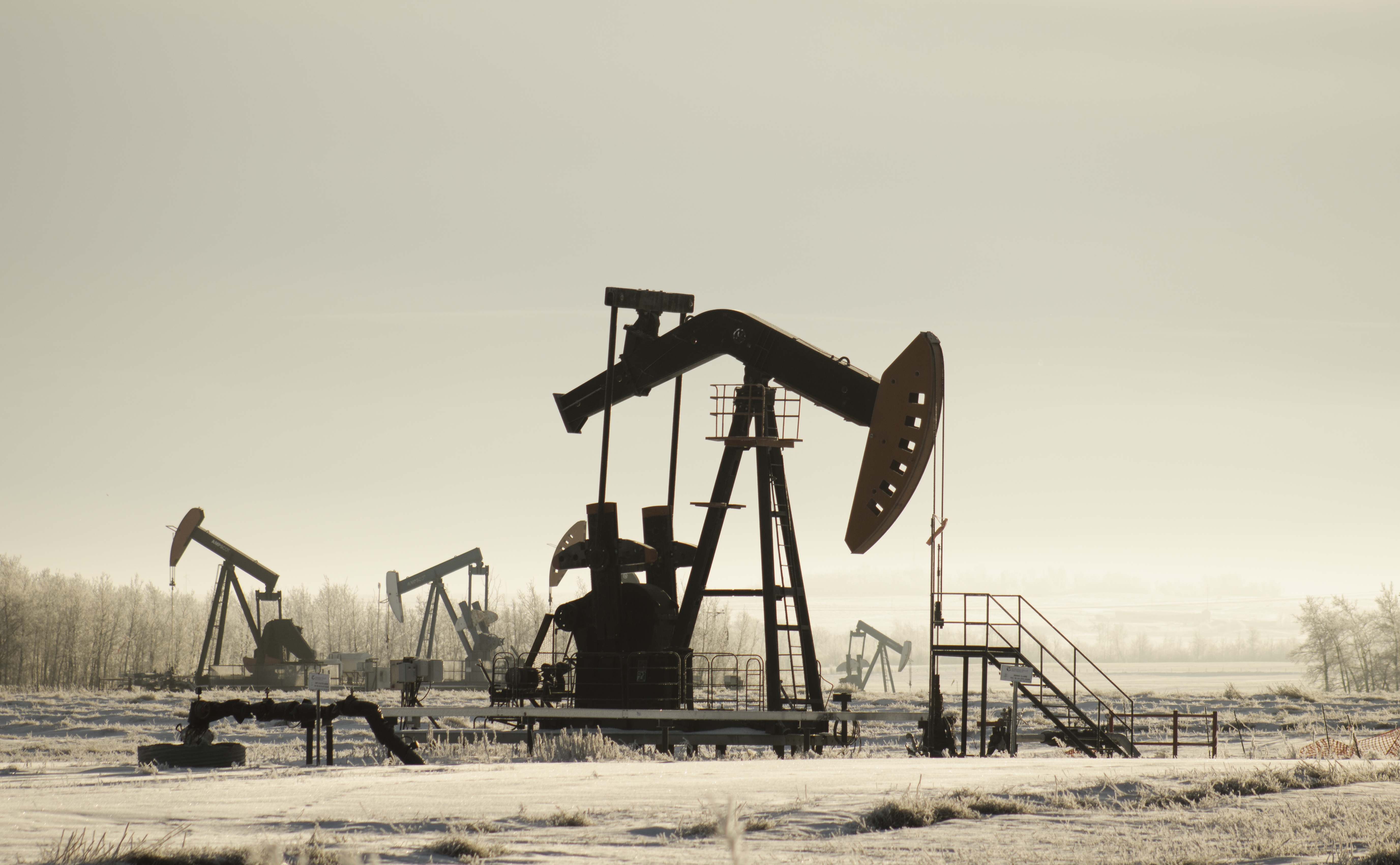 Shengi Drilling